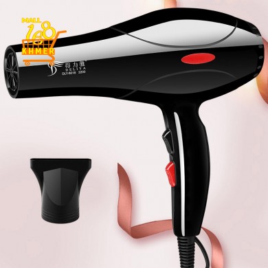 Deliya DLY-8018-2200 hair dryer